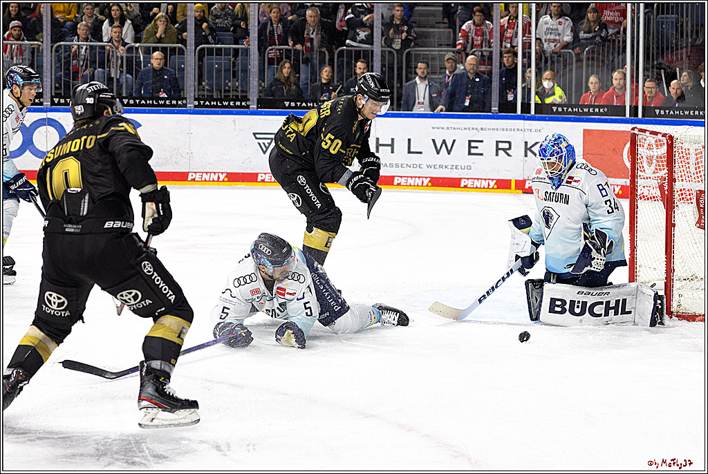 PENNY DEL;  Kölner Haie - ERC Ingolstadt; Köln, 25.11.2022